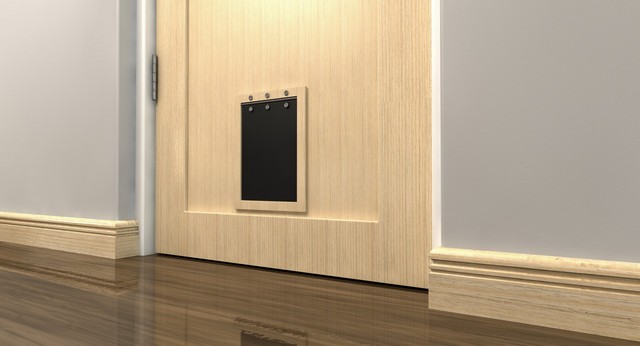 Cat Flap Installation East Ham, Beckton, E6