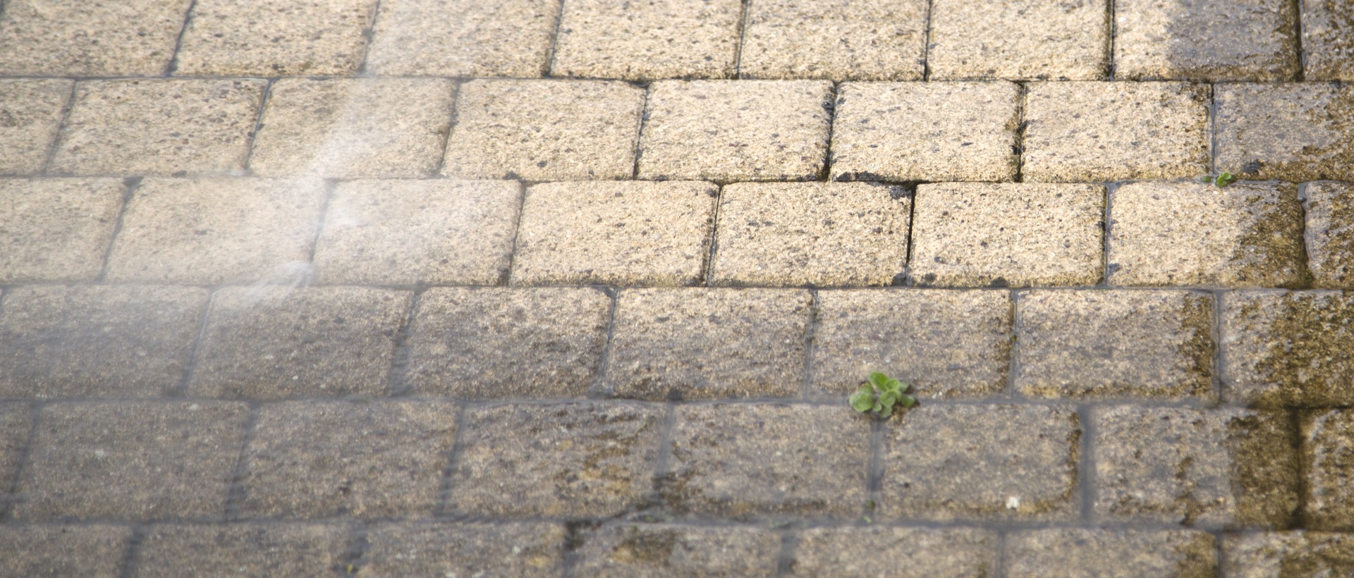 flagging and patios E6